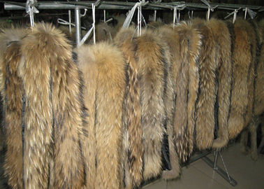 Китай Воротник меха енота загорел волос кожи меха собаки енота мех енота реальных длинных китайское поставщик