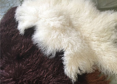 Китай Мех длинного курчавого ламбсвоол овчины материального естественного белого тибетского монгольское прячет поставщик