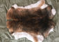 мех кролика 30*40км Рекс применяет обложку к теплой нежности, меху Рекс шиншиллы с естественным/покрашенным цветом поставщик