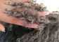 Живущая комната подушки меха 16 дюймов вьющиеся волосы монгольской длинное с микро- подкладкой замши поставщик
