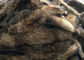 Кожа естественного воротника меха енота цвета сырцовая ранг 70 до 105км для одежды/домашней ткани поставщик