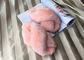 Покрашенная ватка меха Витх15мм Мерино Австралии розовых тапочек шерстей овец реальная худенькая поставщик