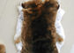 Срезанное использование меховой шыбы кролика, шубнины меха кролика пушистых волос белые для одежды поставщик