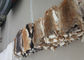 Цвет 25*35км Брауна кожи кролика Рекс аксессуаров подкладки пальто ровный естественный поставщик