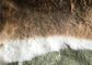 Загоренное мех кожи кролика Рекс травы подгоняло размер для аксессуаров/одежды поставщик
