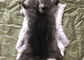 Свет - серая грелка шеи меха кролика Рекс, реальный кролик Рекс Пельтс кожа для одеяла плиты поставщик