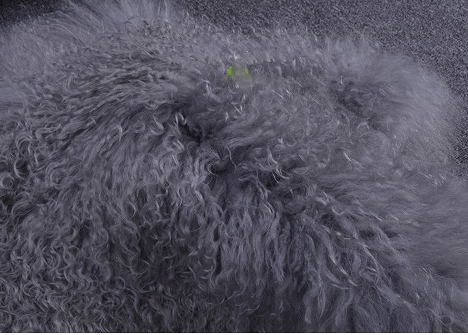 Комната серого длинного половика овчины вьющиеся волосы монгольского живущая с размером ног 2*4