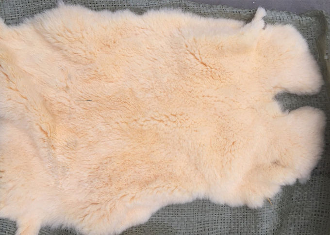 Кожа кролика Рекс домашней ткани реальная Виндпрооф греет для подкладки пальто зимы