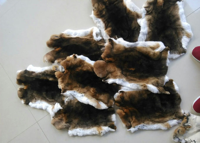 Естественная мягкая пушистая кожа кролика Рекс 12 кс 15 дюйма для делать крышки стула