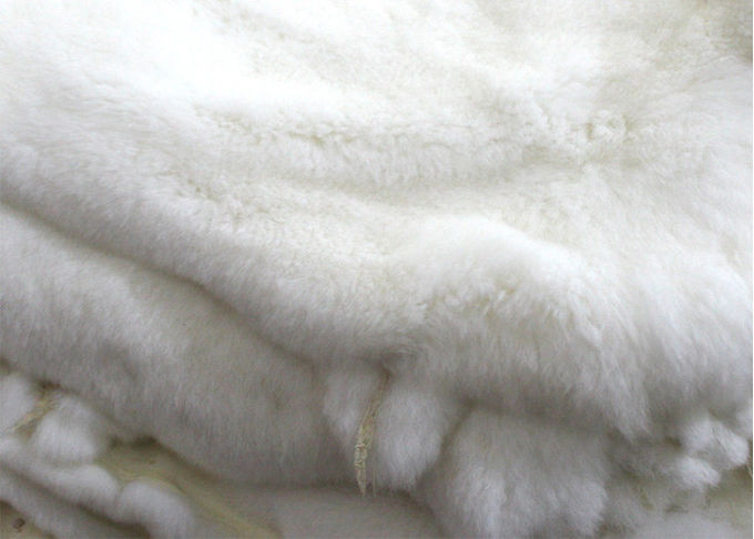 Кожа кролика СГС реальная загоренная Рекс с дизайном зимы длины волос 2-2.8км