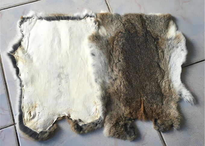Кожа кролика СГС реальная загоренная Рекс с дизайном зимы длины волос 2-2.8км