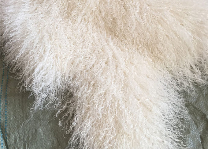 Мех длинного курчавого ламбсвоол овчины материального естественного белого тибетского монгольское прячет
