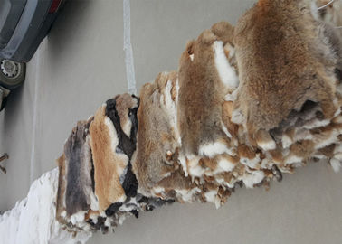 Китай Цвет 25*35км Брауна кожи кролика Рекс аксессуаров подкладки пальто ровный естественный поставщик