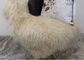 Комната серого длинного половика овчины вьющиеся волосы монгольского живущая с размером ног 2*4 поставщик