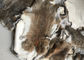 Загоренное мех кожи кролика Рекс травы подгоняло размер для аксессуаров/одежды поставщик
