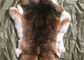 Естественное мех кролика Рекс шиншиллы, мягкий неподдельный срезанный тайник куртки меха кролика поставщик