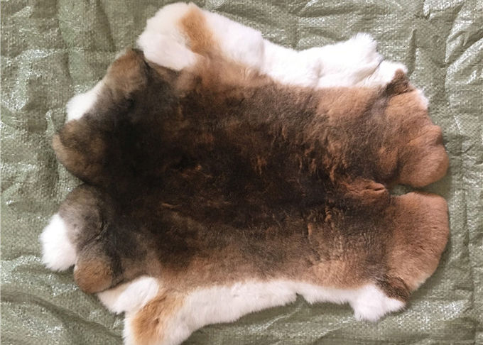 Естественное мех кролика Рекс шиншиллы, мягкий неподдельный срезанный тайник куртки меха кролика