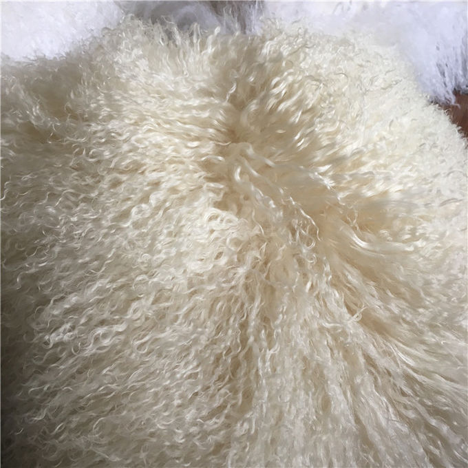 случая подушки шерстей овчины подушка ламбскин крышки подушки шерстей курчавого монгольская
